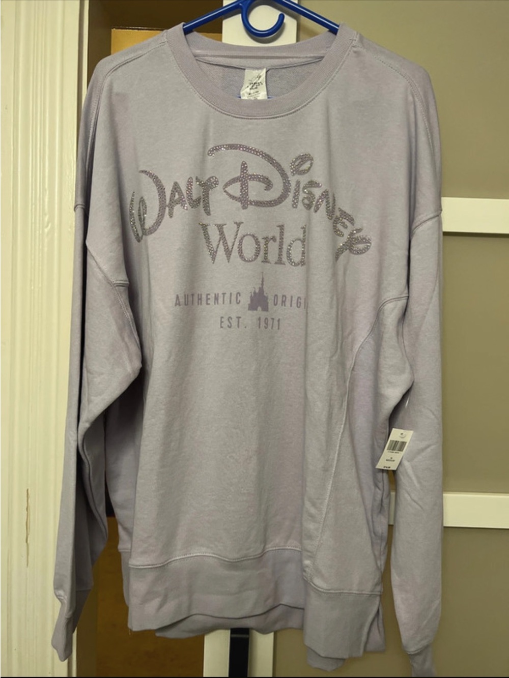 Disney Lavender Walt Disney World Graphic Sweatshirt